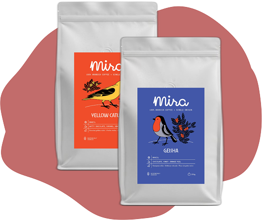 Our Coffee hero illustration